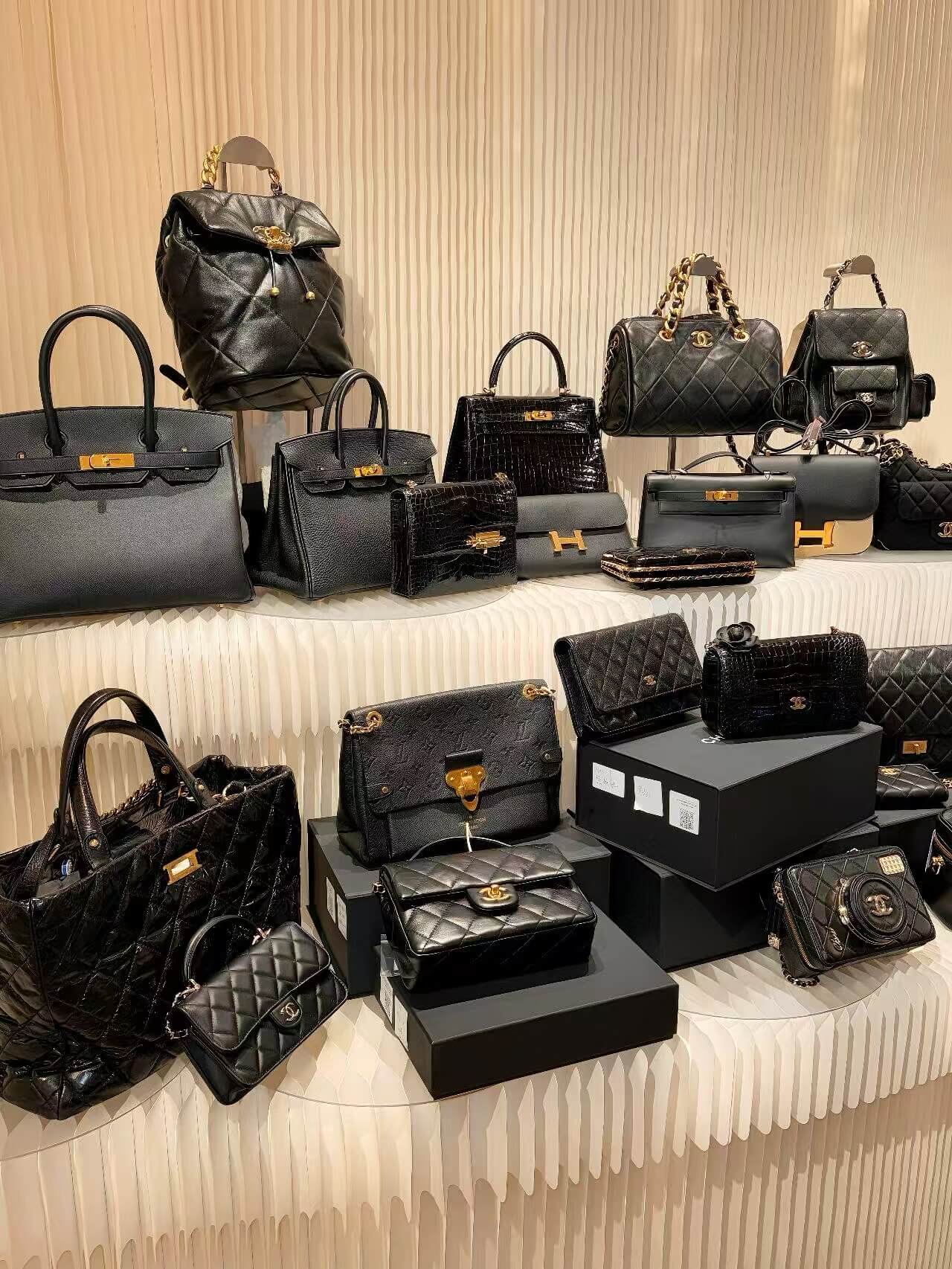 Luxury Watch Collection